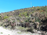 Terreno Rstico - Caldelas, Amares, Braga - Miniatura: 7/9