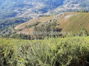 Terreno Rstico - Caldelas, Amares, Braga - Miniatura: 8/9