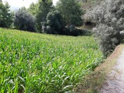 Terreno R�stico - Valdosende, Terras de Bouro, Braga - Miniatura: 3/9