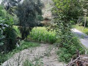 Terreno R�stico - Valdosende, Terras de Bouro, Braga - Miniatura: 5/9