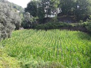 Terreno R�stico - Valdosende, Terras de Bouro, Braga - Miniatura: 7/9