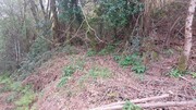 Terreno R�stico - Caldelas, Amares, Braga - Miniatura: 2/9