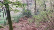 Terreno R�stico - Caldelas, Amares, Braga - Miniatura: 6/9