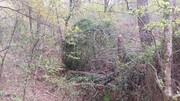 Terreno R�stico - Caldelas, Amares, Braga - Miniatura: 7/9