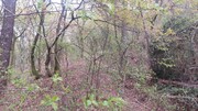 Terreno R�stico - Caldelas, Amares, Braga - Miniatura: 8/9