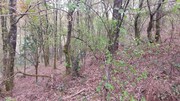 Terreno R�stico - Caldelas, Amares, Braga - Miniatura: 9/9