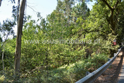 Terreno R�stico - Fiscal, Amares, Braga - Miniatura: 3/7
