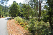 Terreno R�stico - Fiscal, Amares, Braga - Miniatura: 5/7