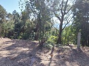 Terreno R�stico - Vilela, Amares, Braga - Miniatura: 1/9