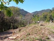 Terreno R�stico - Vilela, Amares, Braga - Miniatura: 2/9