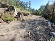 Terreno R�stico - Vilela, Amares, Braga - Miniatura: 4/9