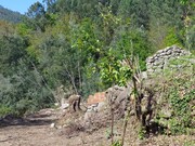 Terreno R�stico - Vilela, Amares, Braga - Miniatura: 6/9