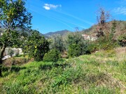 Terreno R�stico - Go�es, Amares, Braga - Miniatura: 3/7