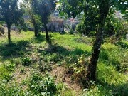 Terreno R�stico - Go�es, Amares, Braga - Miniatura: 4/7