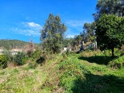 Terreno R�stico - Go�es, Amares, Braga - Miniatura: 5/7