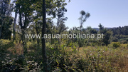 Terreno R�stico - Ferreiros, Amares, Braga - Miniatura: 1/9