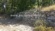 Terreno R�stico - Ferreiros, Amares, Braga - Miniatura: 6/9