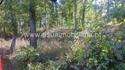 Terreno R�stico - Ferreiros, Amares, Braga - Miniatura: 7/9