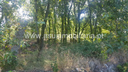 Terreno R�stico - Ferreiros, Amares, Braga - Miniatura: 8/9