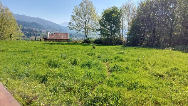 Terreno R�stico - Eira Vedra, Vieira do Minho, Braga - Imagem grande