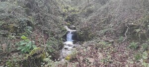 Terreno R�stico - Moimenta (Santo Andr�), Terras de Bouro, Braga