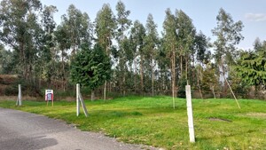 Terreno R�stico - Cani�ada, Vieira do Minho, Braga