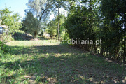 Terreno Rstico - Fiscal, Amares, Braga - Miniatura: 5/8