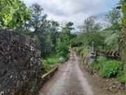 Terreno Rstico - Fiscal, Amares, Braga - Miniatura: 8/8