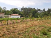 Terreno Rstico - Rendufe, Amares, Braga - Miniatura: 5/9
