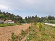 Terreno Rstico - Rendufe, Amares, Braga - Miniatura: 8/9