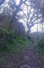 Terreno R�stico - Caldelas, Amares, Braga - Miniatura: 2/9