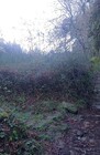 Terreno R�stico - Caldelas, Amares, Braga - Miniatura: 6/9