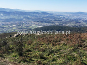 Terreno R�stico - Caires, Amares, Braga - Miniatura: 4/6