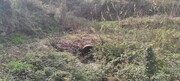 Terreno R�stico - Moimenta (Santo Andr�), Terras de Bouro, Braga - Miniatura: 3/6
