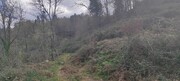 Terreno R�stico - Moimenta (Santo Andr�), Terras de Bouro, Braga - Miniatura: 4/6