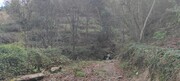 Terreno R�stico - Moimenta (Santo Andr�), Terras de Bouro, Braga - Miniatura: 5/6