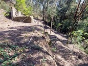 Terreno R�stico - Vilela, Amares, Braga - Miniatura: 1/9