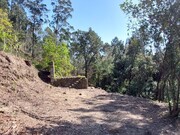 Terreno R�stico - Vilela, Amares, Braga - Miniatura: 3/9