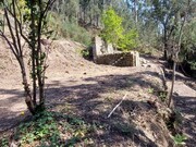Terreno R�stico - Vilela, Amares, Braga - Miniatura: 4/9