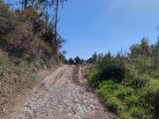 Terreno R�stico - Vilela, Amares, Braga - Miniatura: 5/9