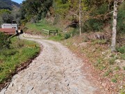 Terreno R�stico - Vilela, Amares, Braga - Miniatura: 7/9