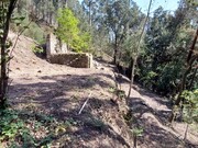 Terreno R�stico - Vilela, Amares, Braga - Miniatura: 9/9