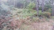 Terreno R�stico - Chamoim, Terras de Bouro, Braga - Miniatura: 1/4