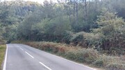 Terreno R�stico - Chamoim, Terras de Bouro, Braga - Miniatura: 3/4