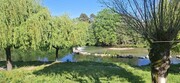 Moradia T3 - Soutelo, Vila Verde, Braga - Miniatura: 5/7