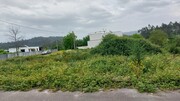 Terreno R�stico - Guilhofrei, Vieira do Minho, Braga - Miniatura: 2/4