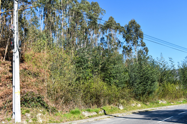 Terreno R�stico - Vieira do Minho, Vieira do Minho, Braga - Imagem grande