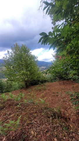 Terreno R�stico - Parada do Bouro, Vieira do Minho, Braga - Imagem grande