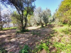Terreno R�stico - Caldelas, Amares, Braga