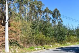Terreno R�stico - Vieira do Minho, Vieira do Minho, Braga
